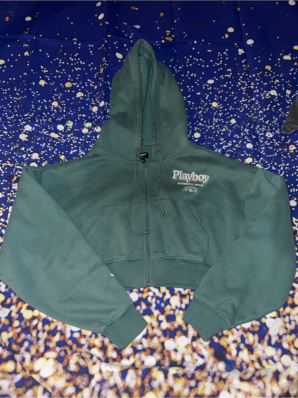 PacSun Playboy hoodie
